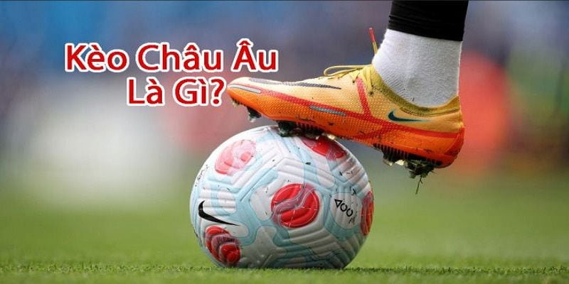 Cách tính tỷ lệ kèo Châu Âu